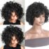 Nadula – Nadula Brown Wig With Baby Hair Blonde Highlight Straight Lace Front Wigs For African American Women 150% Density